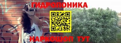 молекула духа Бийск