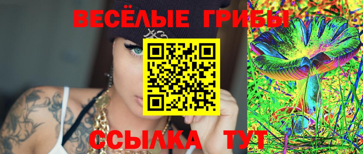 Коломна  Галлюциногенные грибы прущие грибы  Вход с VPN 