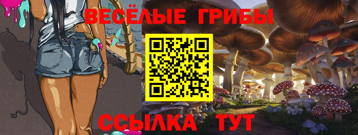 Галлюциногенные грибы MAGIC MUSHROOMS Коломна